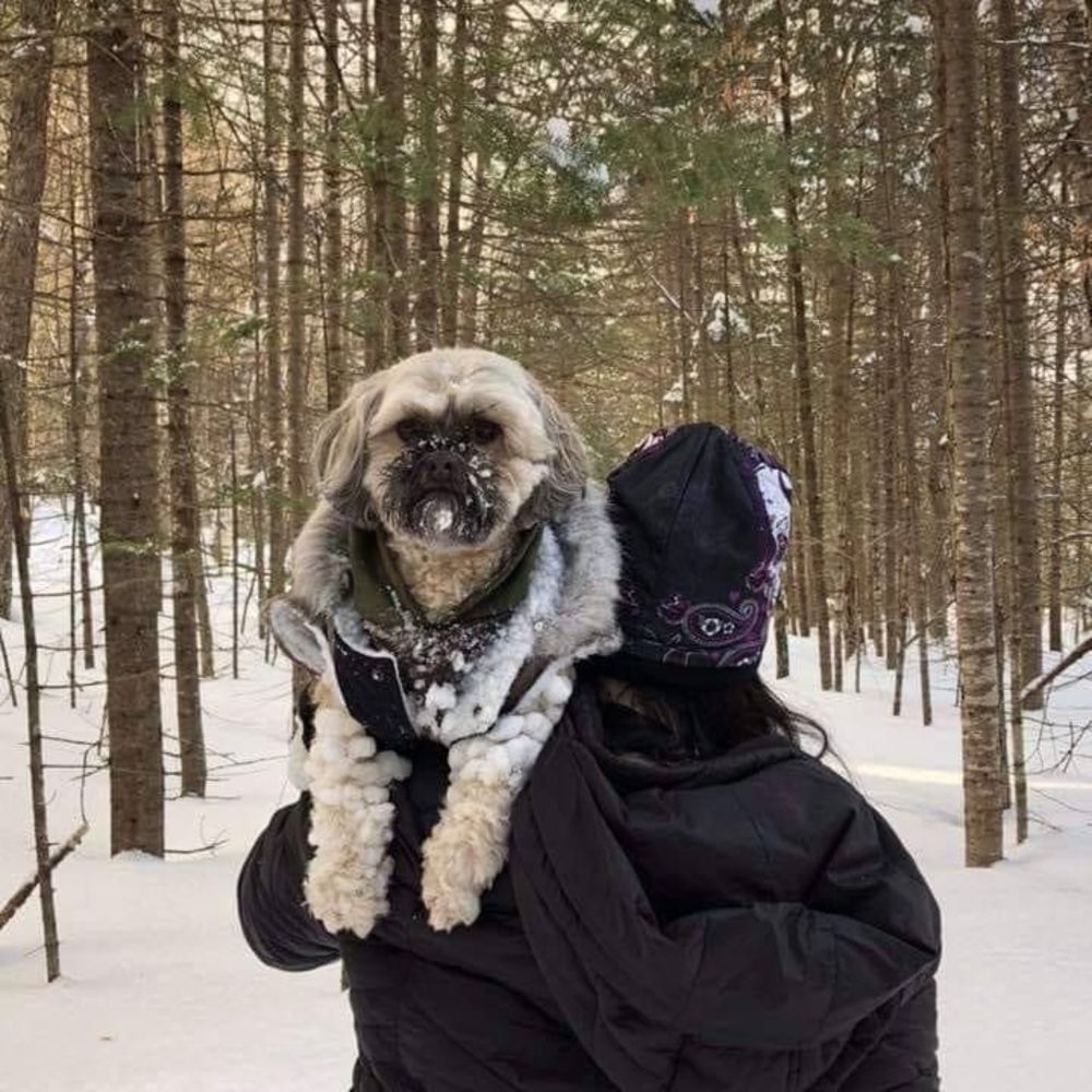 Meet your Posher, Mike-sue